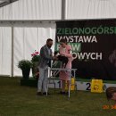 psydz1 73